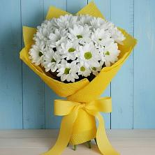 Букет цветов из:  Хризантемы в Пролетарском Республики Адыгея