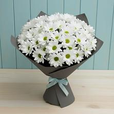 Букет цветов из:  Хризантемы в Пролетарском Республики Адыгея