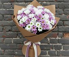 Букет цветов из:  Хризантемы в Пролетарском Республики Адыгея