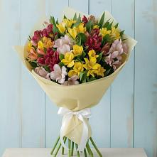 Букет цветов из:  Альстромерии в Пролетарском Республики Адыгея