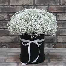 Цветочная композиция из Гипсофила в шляпной коробке #REPLACE_PRED# Пролетарском Республики Адыгея