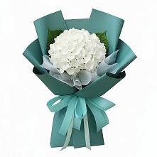 Букет цветов из:  Гортензия в Пролетарском Республики Адыгея